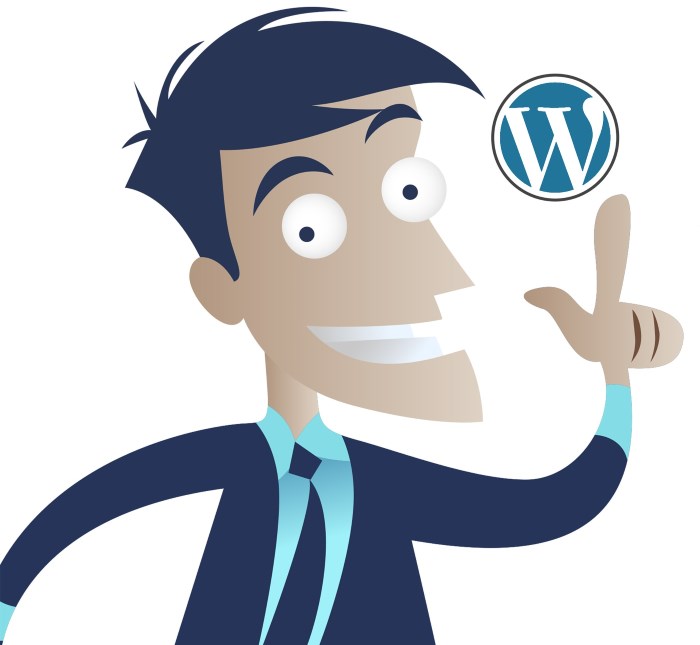 Wordpress programmør