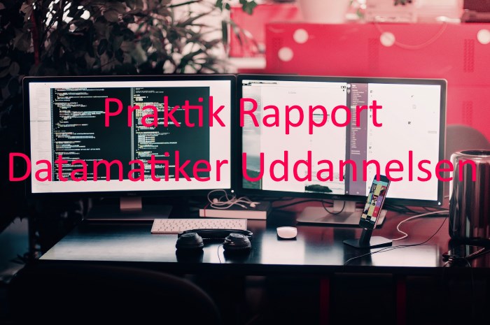 Praktik Rapport Datamatiker Uddannelsen